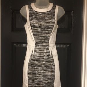 Bebe Black and White dress
